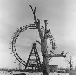 Das Wiener Riesenrad 1945.<small>© Okamoto / ÖNB</small>