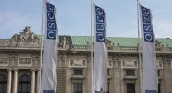OSCE Election Monitoring in Hungary Under Fire Over Former Putin Interpreter